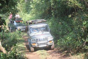 Jeep Safari